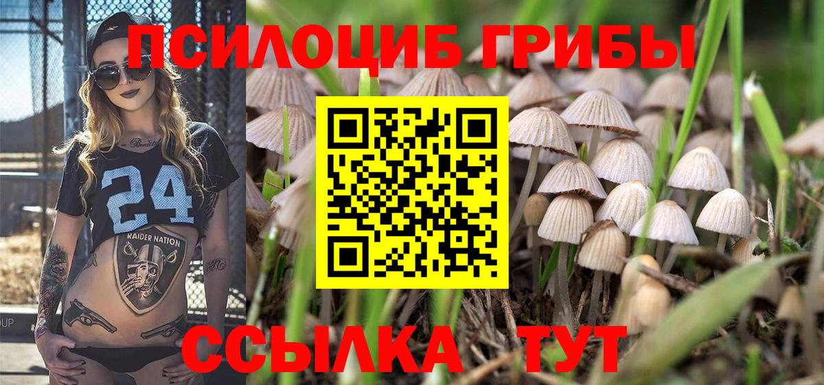 Псилоцибиновые грибы GOLDEN TEACHER Алапаевск