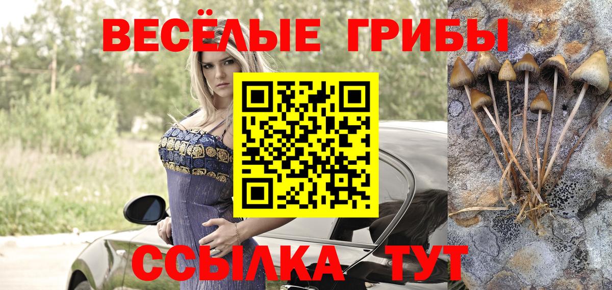 Галлюциногенные грибы Cubensis  Вход с VPN  Алапаевск 